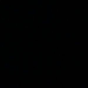 Meet your Posher, Dayanara